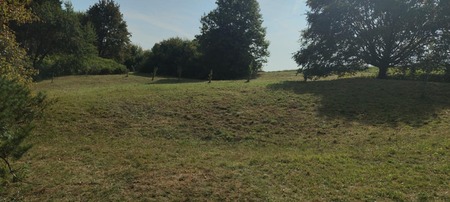 Delovna akcija Soncki 08sept2025 05